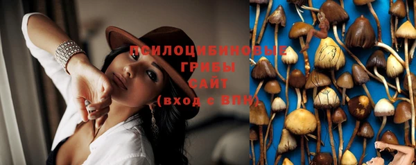 MDMA Белокуриха