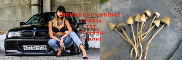 MDMA Белокуриха