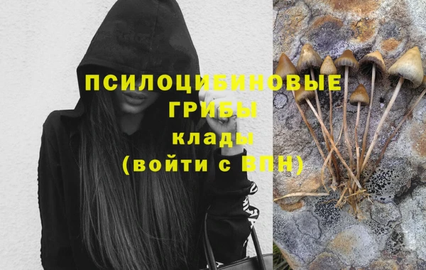 jwh Тайга